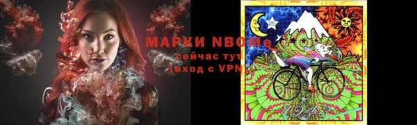индика Балабаново