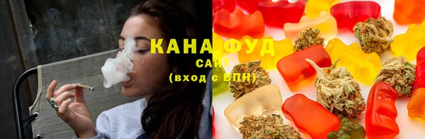 индика Балабаново