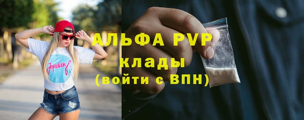 индика Балабаново