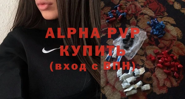 индика Балабаново
