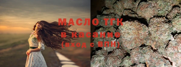 индика Балабаново
