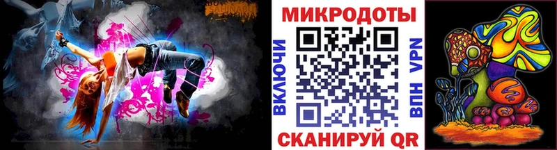 Купить закладки  Новая Ладога  Галлюциногенные грибы Psilocybe 